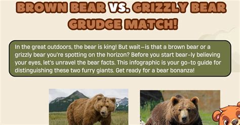 Brown Bear vs. Grizzly Bear: Differences between these Bears • 7ESL