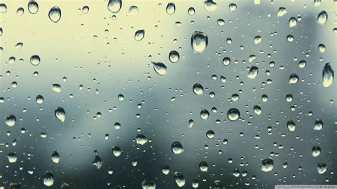 Raindrops wallpaper | 1920x1080 | #80905