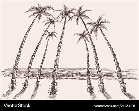 Palm trees beach sea view hand drawing Royalty Free Vector