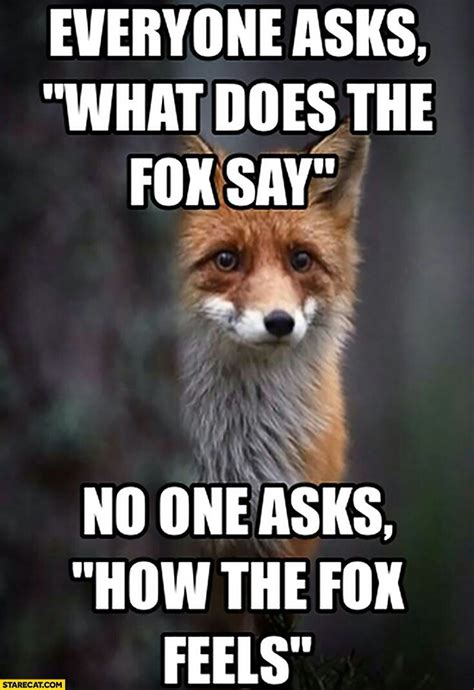 This is soooo super funny | Fox memes, Memes, Fox