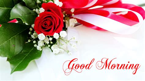 Good Morning Wallpaper with Flowers, Full HD 1920x1080 GM Images