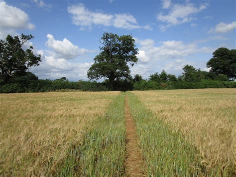 Greensand Ridge Walk © Jonathan Thacker cc-by-sa/2.0 :: Geograph Britain and Ireland