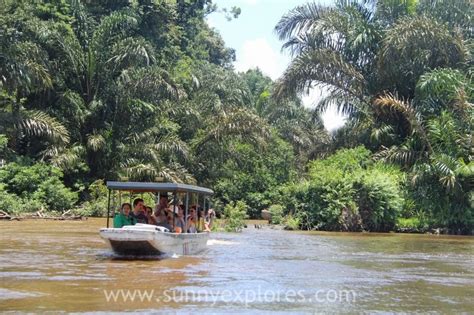 Visiting Tortuguero Rainforest in Costa Rica