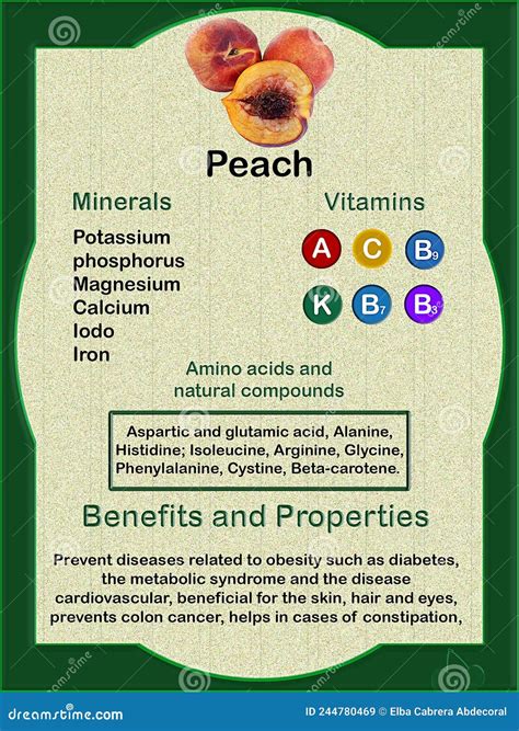 Health Benefits of Peach Nutrition Fact Sheet Stock Illustration - Illustration of food ...