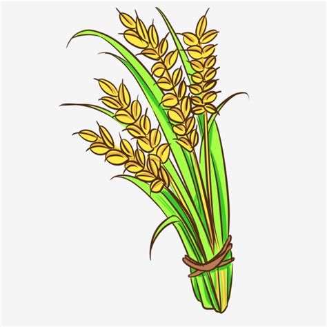 Rice Crops Clipart Vector, Autumn Mature Crop Paddy Rice, Rice ...