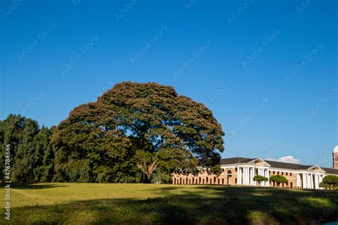 Various views of the forest research institute Stock Photo | Adobe Stock