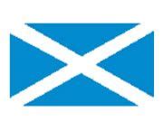 Scotland Flag Tattoo | Flag tattoo, Tattoos, Flag