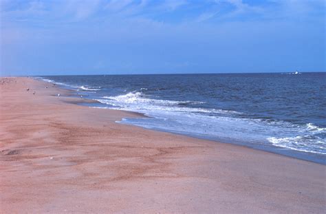 Delaware Seashore State Park | State Symbols USA