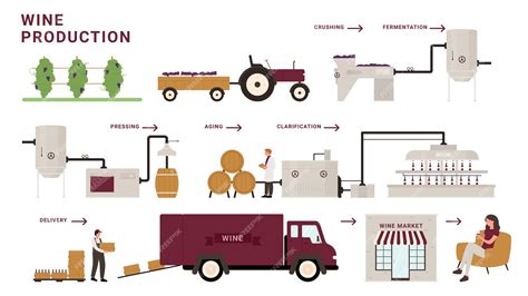 Premium Vector | Wine production process stages infographic vector illustration. cartoon modern ...