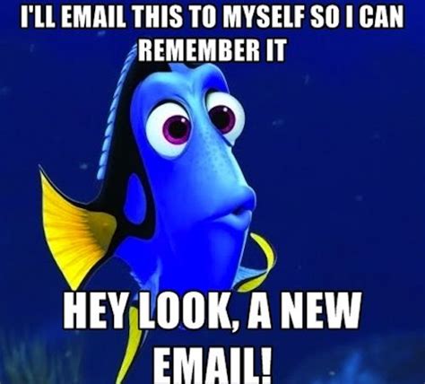 14 Really Funny Memes: Forgetful Dory - Waste The Day Away | Bones funny, Funny pictures, Humor