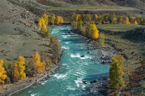 Green river, landscape, nature, river, trees HD wallpaper | Wallpaper Flare