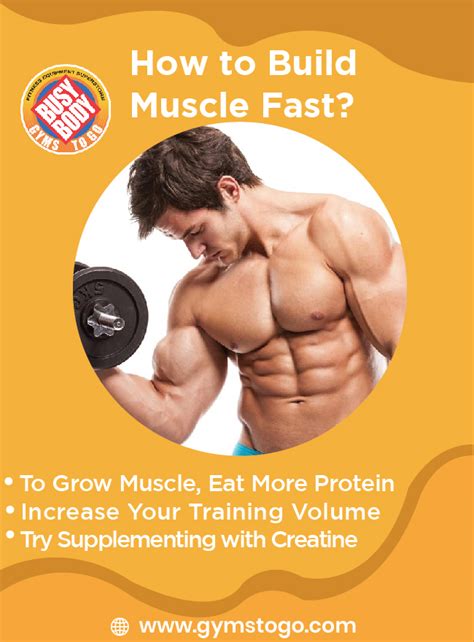 How to Build Muscle Fast? - South Florida Fitness Equipment Provider