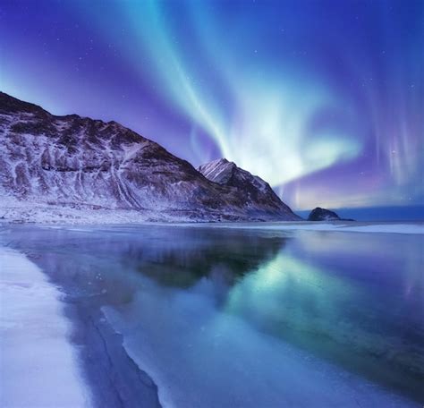 Premium Photo | Aurora borealis on the Lofoten islands Norway Green ...