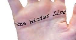 Simian Lines And Semi-Simian Lines Palmistry | INDIAN PALM READING - ASTROLOGY