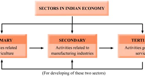 Three Sectors Of Economy