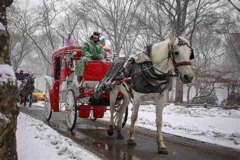 Central Park Horse Carriage Ride NY