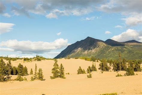 The World's Smallest Desert Isn't Technically a Desert in 2020 | Deserts of the world ...