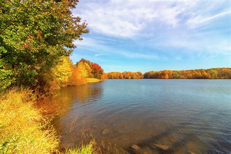 Sunny Fall Day Photograph by Denise Harty - Fine Art America