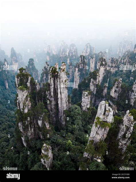 Avatar Mountains, Zhangjiajie National Park, China Stock Photo - Alamy