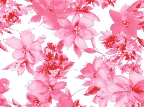 Pink Flower Wallpaper - The Best Quality Pictures | Pink wallpaper backgrounds, Flower ...