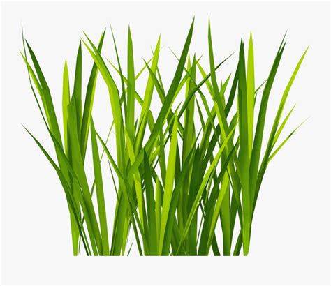 New Textures Billboard Grass - Grass Texture Unity Png , Free Transparent Clipart - ClipartKey