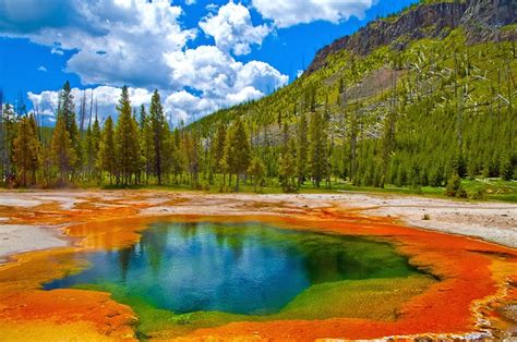 Visiting Yellowstone National Park: 12 Attractions, Tips & Tours | PlanetWare