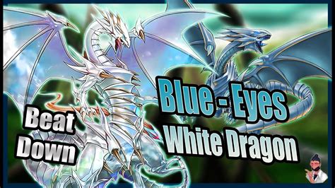 Yu-Gi-Oh! Blue - Eyes White Dragon Deck Profile / Formato de abril, 2023 - YouTube