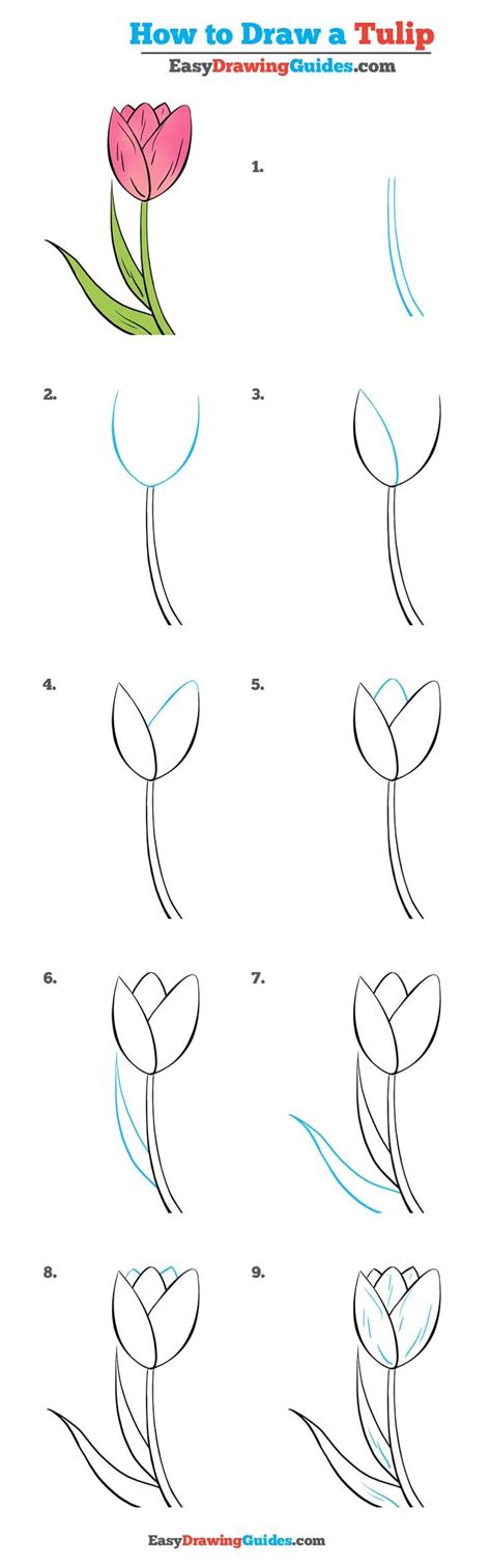 How To Draw Exotic Flowers Step By Step : Perfect for sketching, bullet journal and art ...