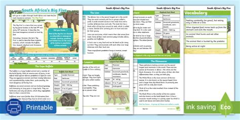 Big Five Animals Facts | South Africa Reading Comprehension