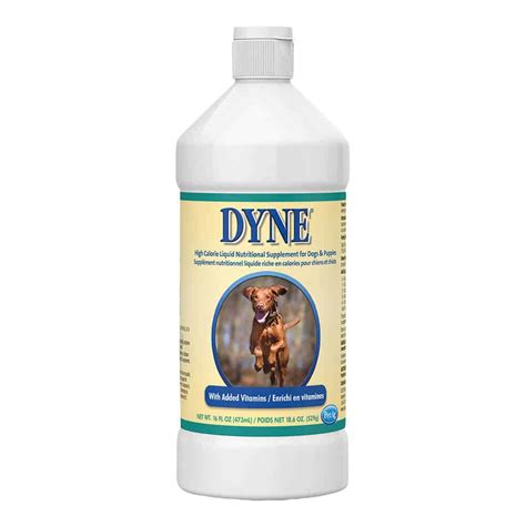 DYNE High Calorie Liquid Supplement 16 oz | UPCO