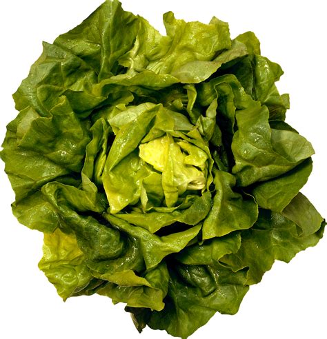 Green salad PNG image