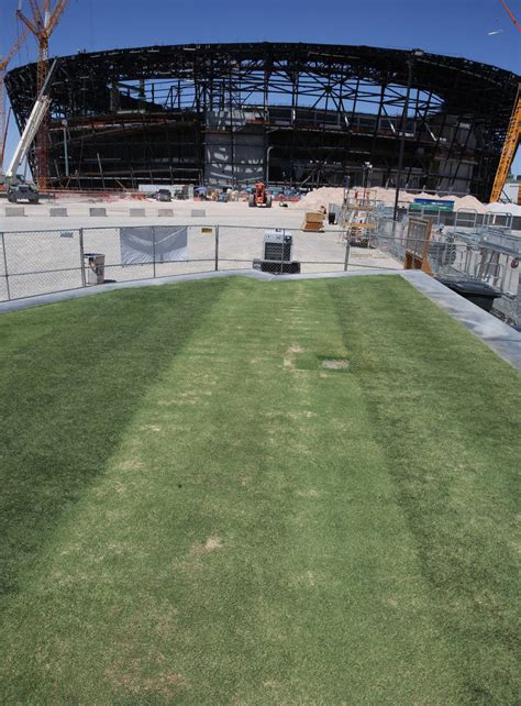 Allegiant Stadium crews test grass for Raiders’ field | Las Vegas ...