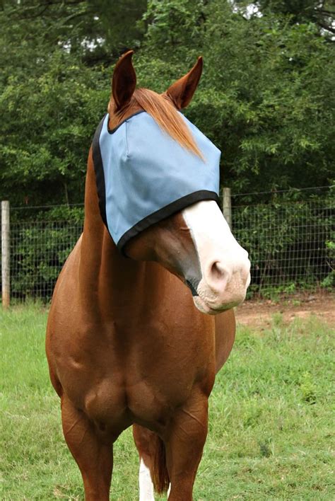 Nag Horse Ranch Eye Protection Shade / Fly Mask | Charlies Products