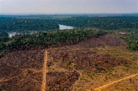 Brazilian Amazon deforestation hits new Jan-Apr high