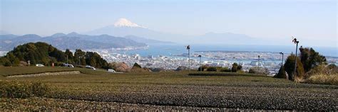 Shizuoka Travel Guide - What to do in Shizuoka City