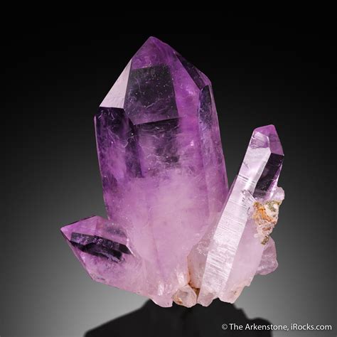 Quartz var. Amethyst - IBM23-09 - Las Vigas - Mexico Mineral Specimen