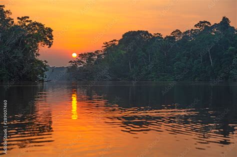 Reflection of a sunset by a lagoon inside the Amazon Rainforest Basin. The Amazon river basin ...