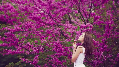 Photo women white dress purple flowers - free pictures on Fonwall