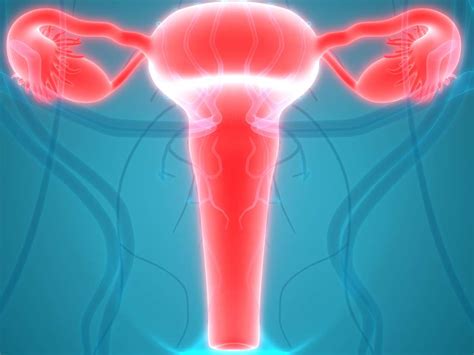 Enlarged uterus: Causes, symptoms, and treatment