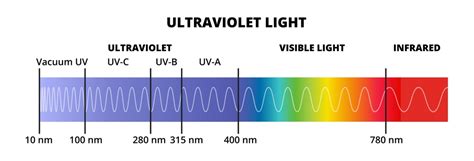 Tia UV là gì? Phân biệt các loại tia UVA, UVB và UVC