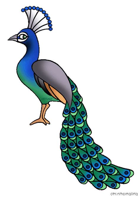 Peacock Clip Art - Cliparts.co