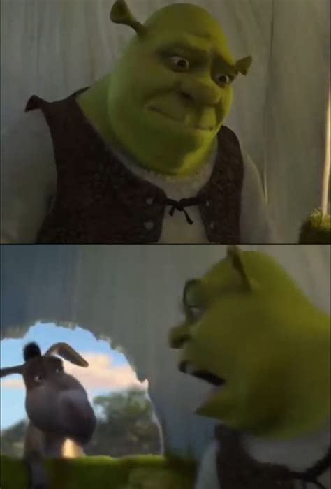 "shrek" Meme Templates - Imgflip