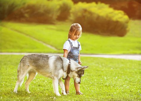 How to Teach Kids Safe Behavior around Dogs