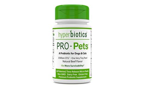 The Best Probiotics for Your Cat (Review) in 2021 | My Pet Needs That