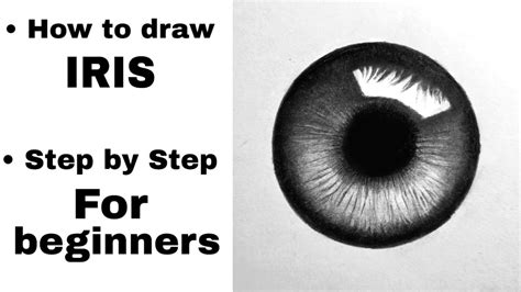 How to draw Realistic Iris | EASY tutorial | for beginners - YouTube