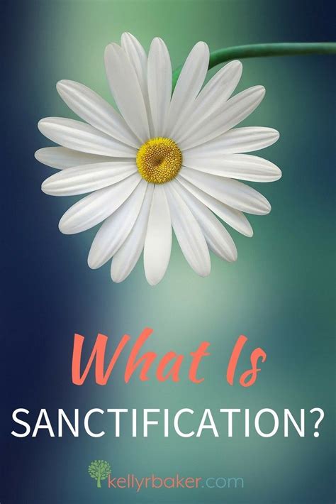 Expect Goodness from Sanctification - Kelly R Baker