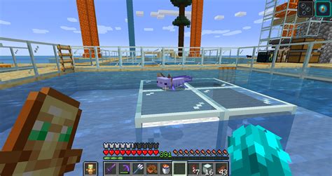 Spent 2 days breeding Axolotl, but it was worth it to get this little guy : r/Minecraft