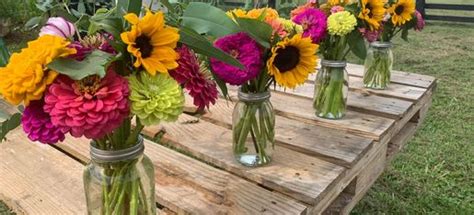 Bountiful Blooms - U Pick, Local Flowers, Flower Farm Experience