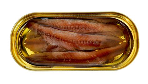 Canned Foods – Anchovies - Sherbhert