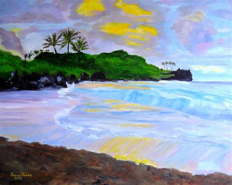 Hawaii Sunset Painting by Sally Jones - Fine Art America